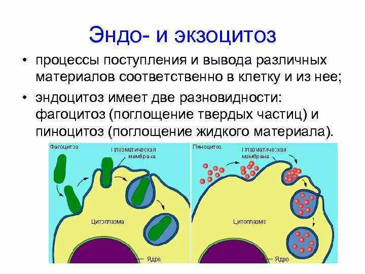 Типы химических реакций эндотермические реакции: найдено 87 изображений