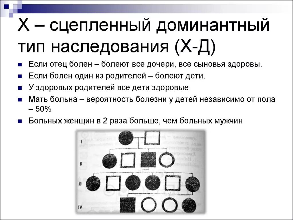 Сцепленный с х-хромосомой доминантный Тип наследования схема. Характеристика х сцепленного доминантного типа наследования. Х сцепленный рецессивный Тип наследования родословная. Родословная с х-сцепленным доминантным типом наследования.