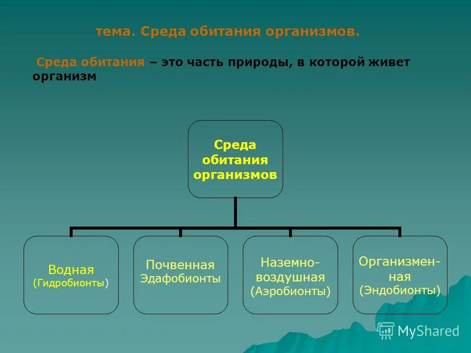 Эндобионты среда обитания. Гидробионты аэробионты Эдафобионты. Какие есть среды обитания. Это часть природы в которой живет организм.