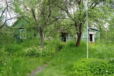 Чепелево чеховский