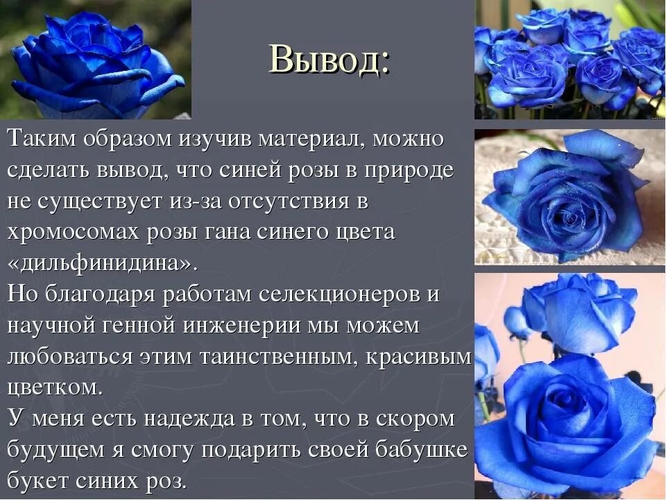 Синие цветы что означают