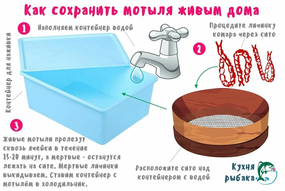 Как хранить мотыля
