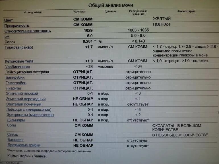 Анализ мочи на белок. Общий анализ мочи белок. Белок в моче анализ мочи. Анализ мочи на соли. Белок 0 12