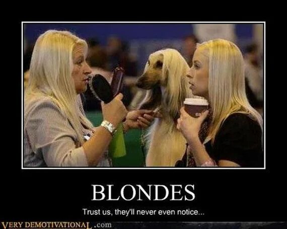 Блондинки не тупые. Глупая блондинка. Приколы про блондинок. Шутки про блондинок. Мужчины почему блондинки
