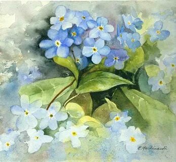 M forget me