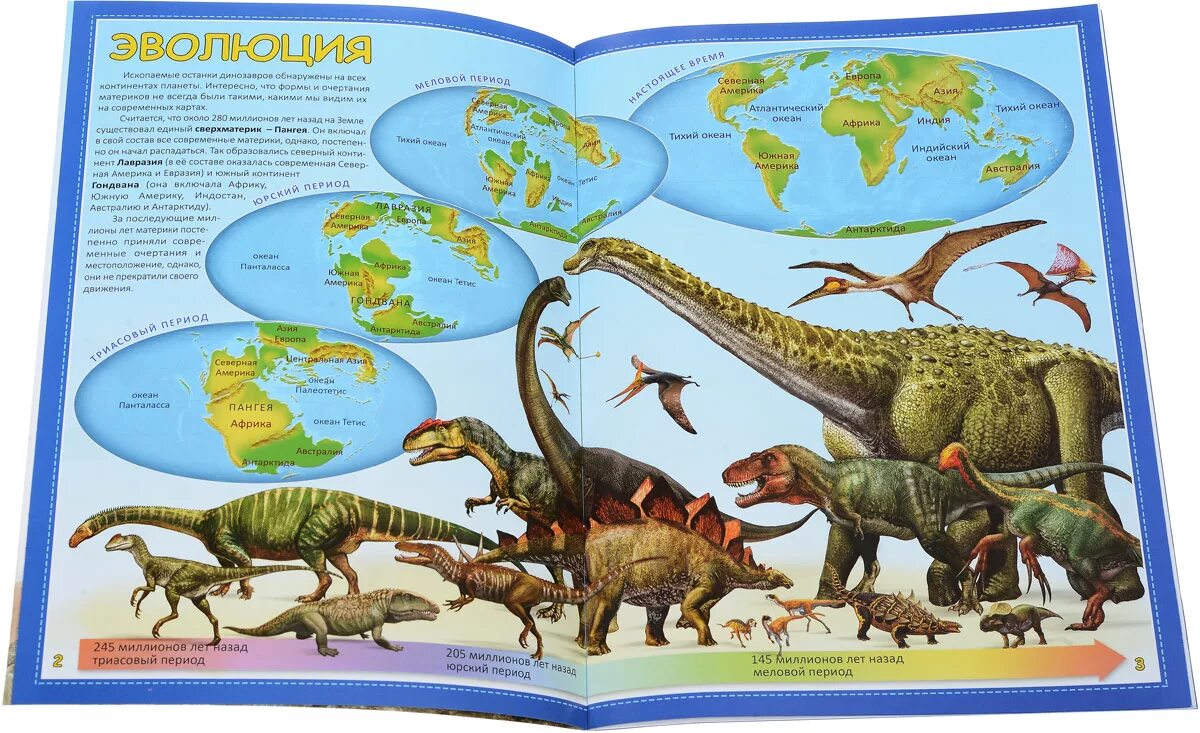 Карта динозавров. Материк динозавров. Где какие динозавры обитали. Места обитания динозавров.