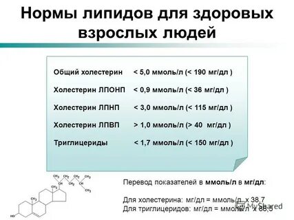 Какой допустимый холестерин