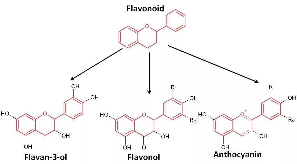 Виды флавоноидов. Антоцианы флавоноиды каротиноиды. Флавоноиды формула. Структурная формула флавоноидов. Флавоноиды структура.
