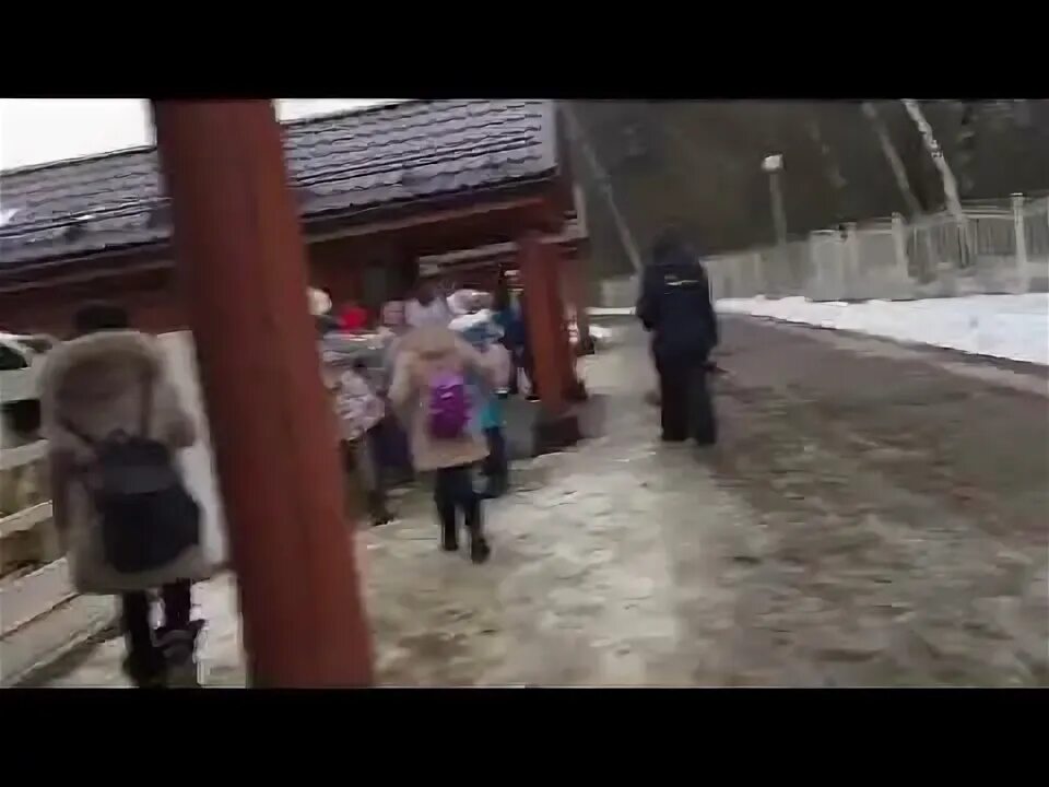 Экскурсия в совхоз. Экскурсия в совхоз