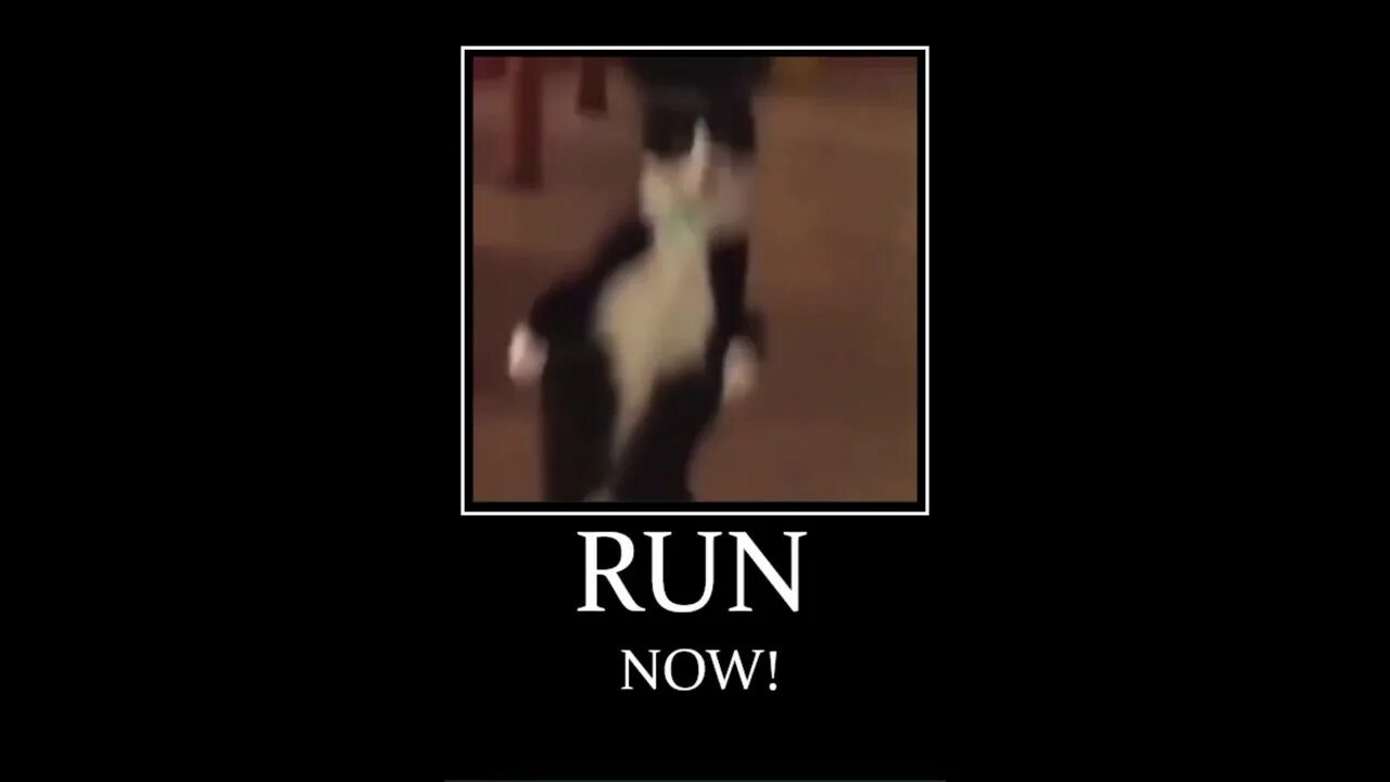 Run run run my car. Run мемы. РАН РАН Мем. Run Now. Run Run Run meme.