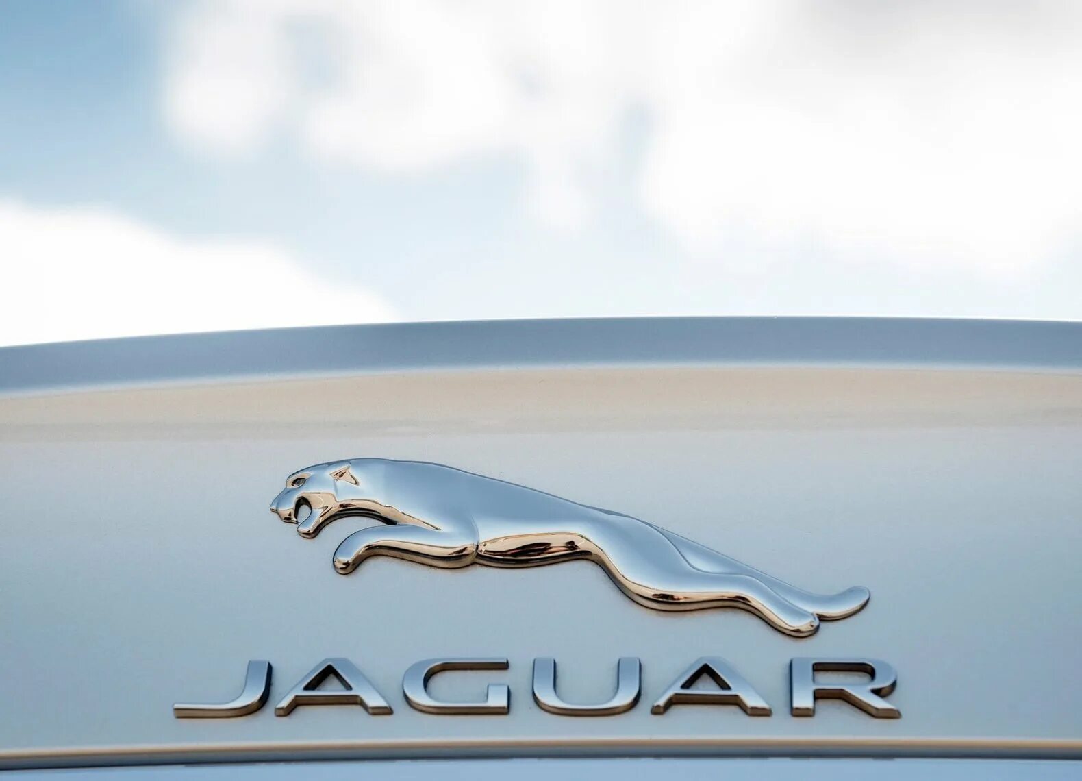 Formula E plugs Jaguar in for an electric future Reuters