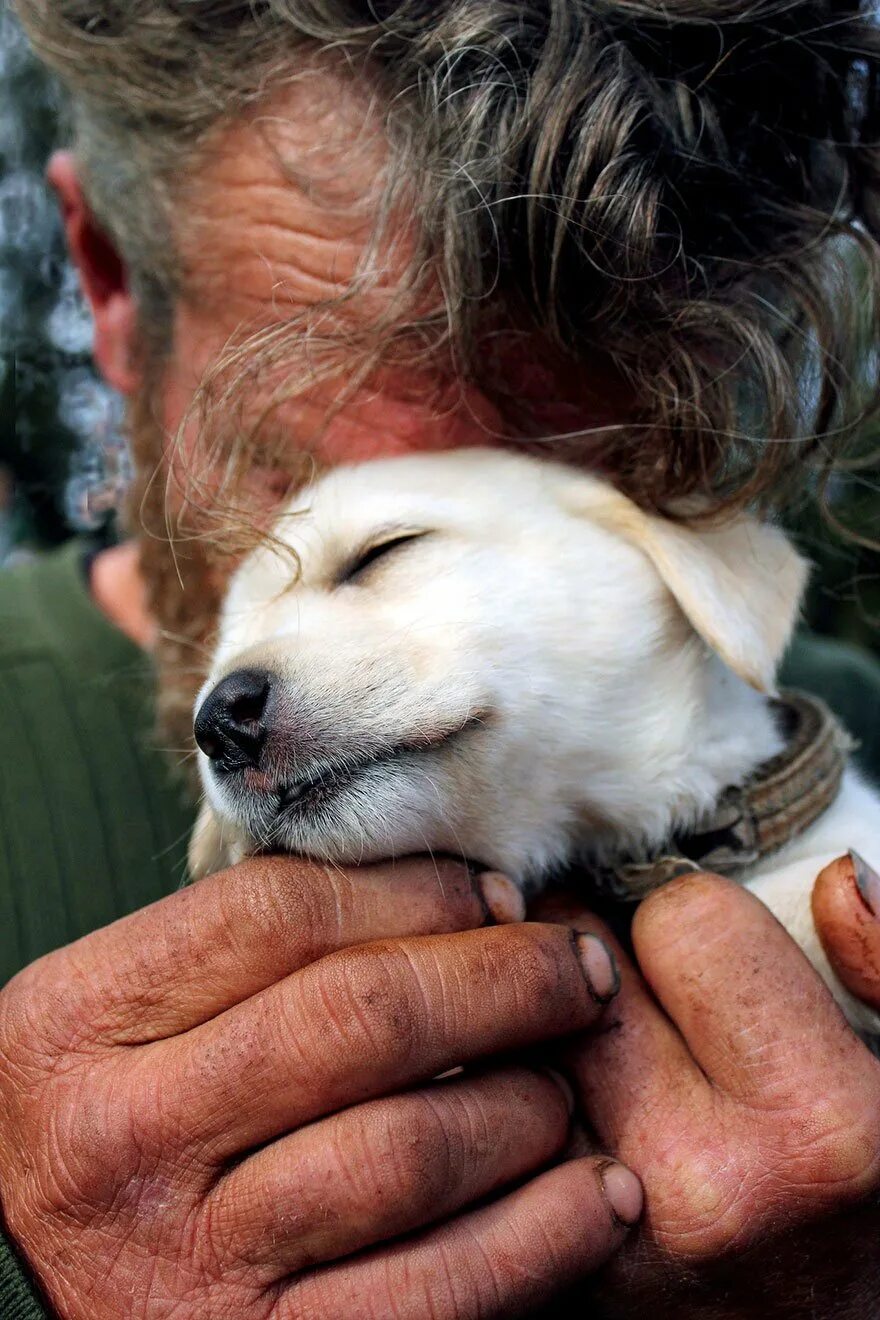 Бескорыстно добрый. Собака друг человека. Бездомные собаки. Люди и животные. Трогательные животные.