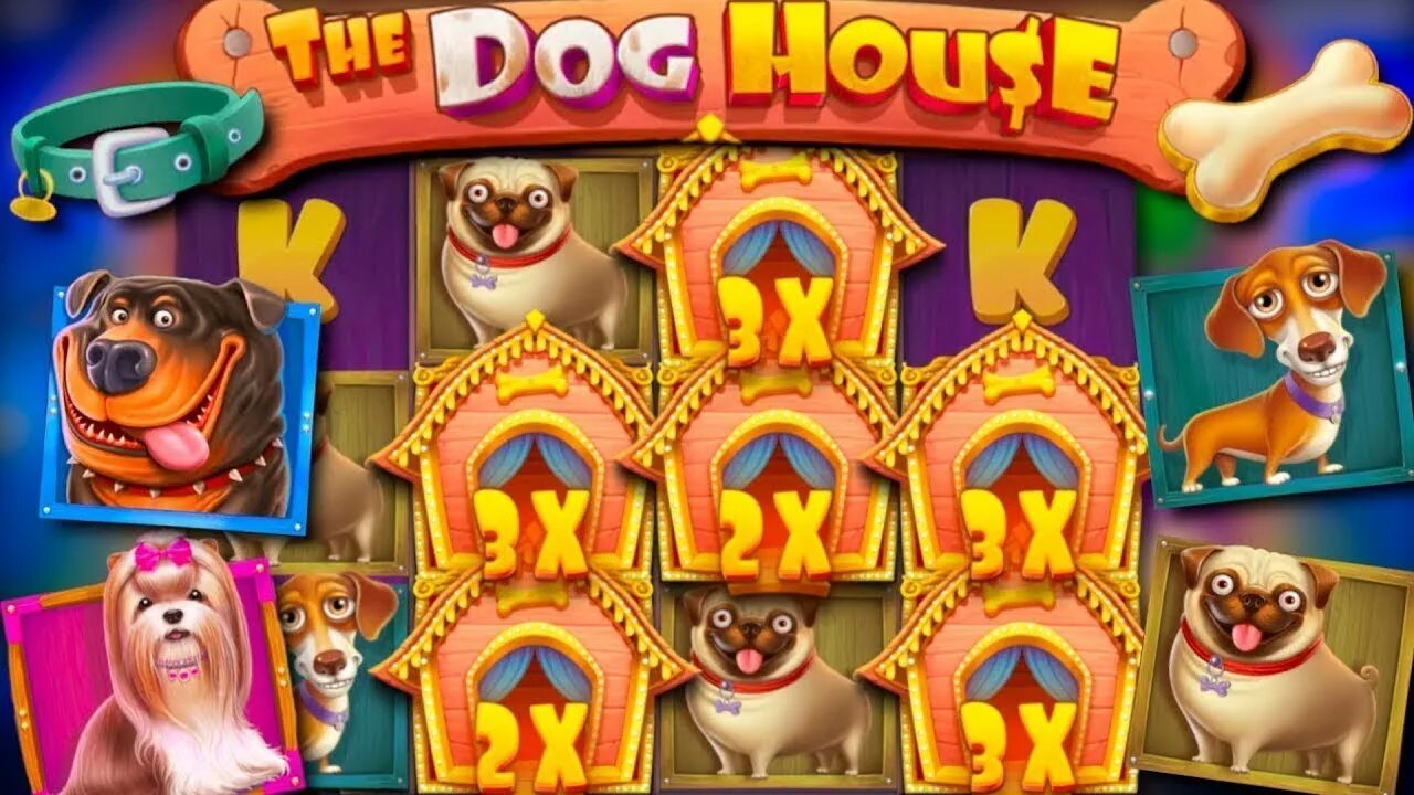 Doghouse казино. Слот собаки. Doghouse слот. Дог Хаус слот казино. Dog house casino dog houses info