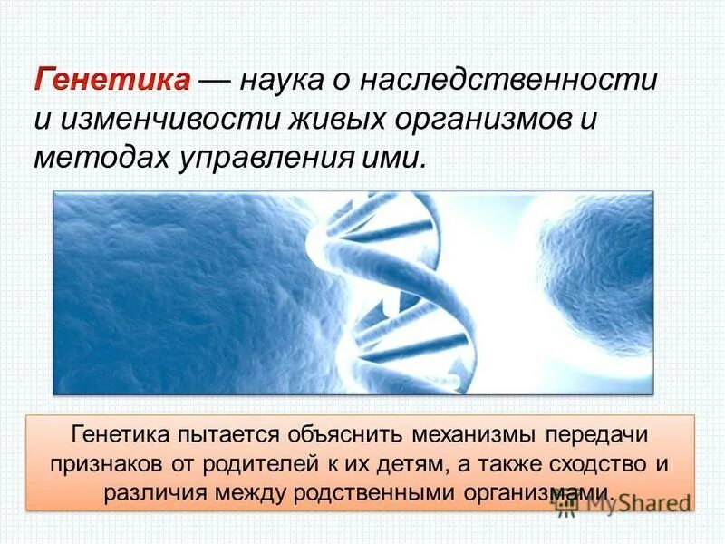 Признак передавать информацию