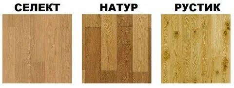 Виды натур