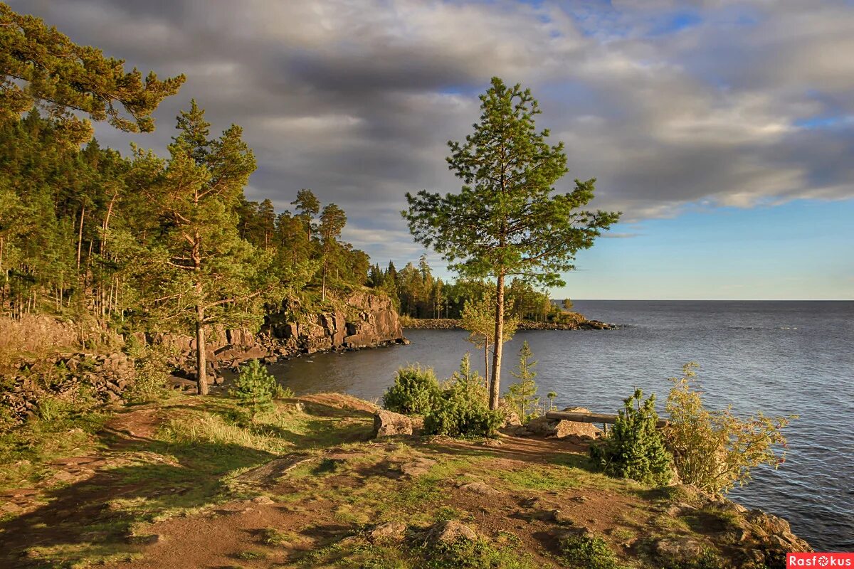 валаамский архипелаг карелия. валаамский архипелаг ладожское озеро. ладожское валаамские. никольский скит валаамского монастыря. ладожское озеро монастырь валаам.