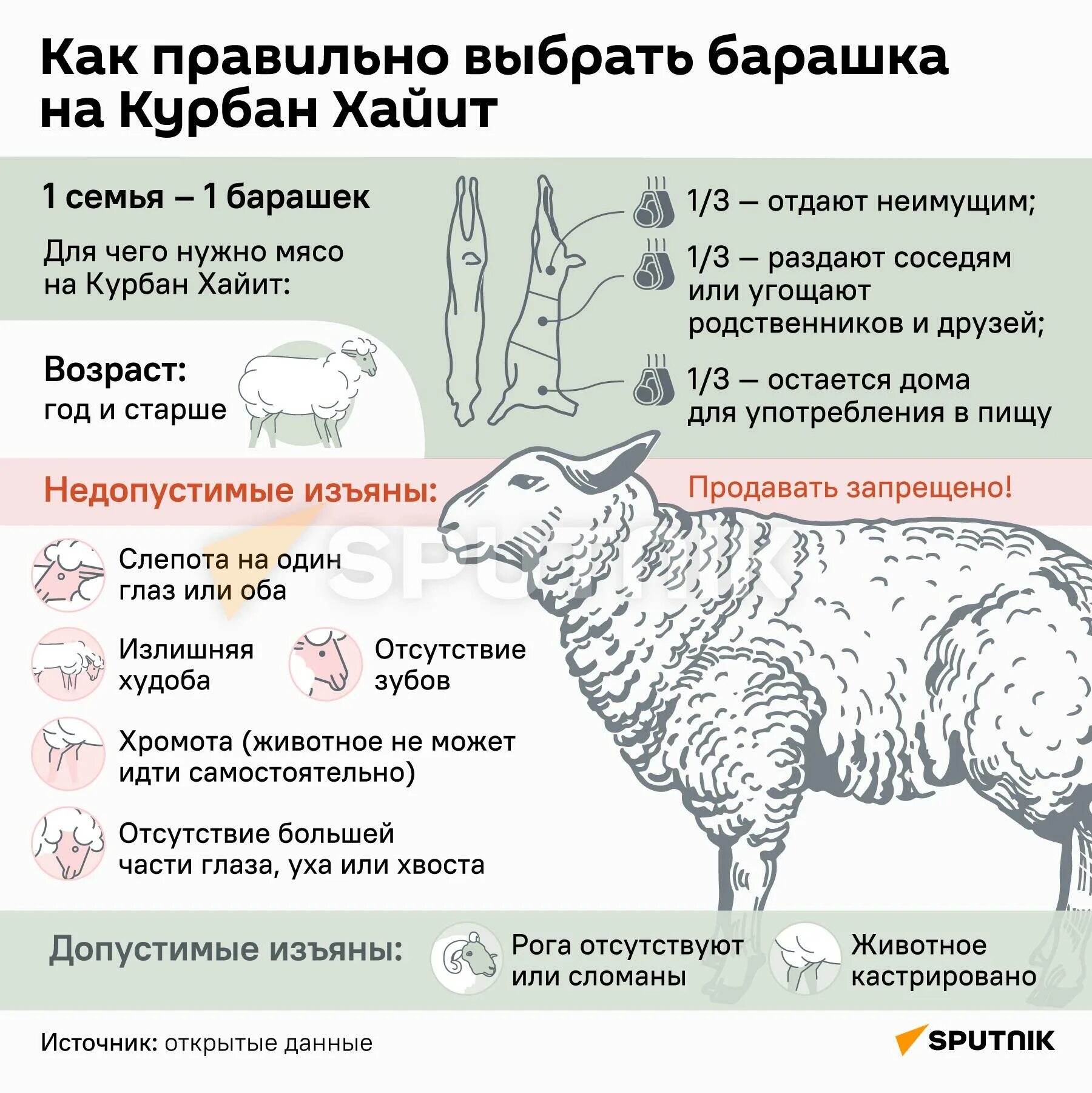 Про курбана. Курбан байрам жертвоприношение. Возраст барана на Курбан байрам.