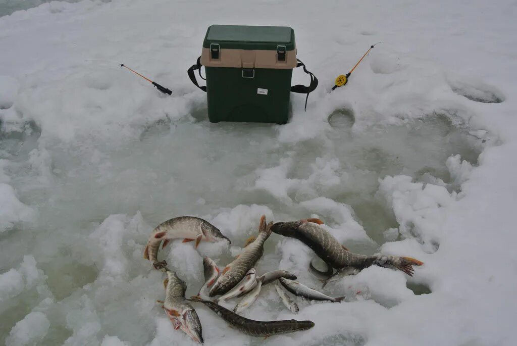 рыбалка на реке кама пермский край. рыбаки прикамья. рыбалка в пермском крае зимой. рыбалка зимняя в пермском. река чусовая рыбалка.