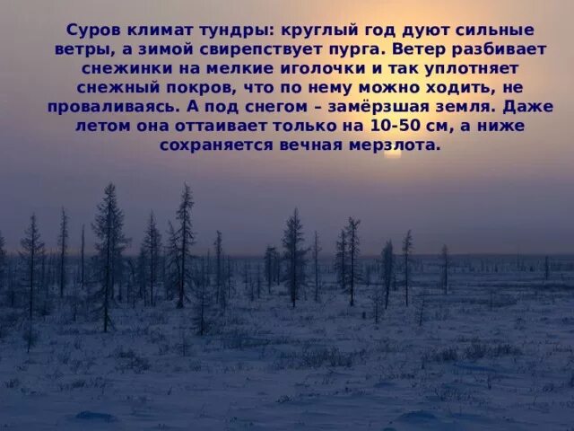 Тундра природная зона россии климат. Климат тундры. Суров климат тундры. Климатические условия тундры. Суровость климата России.