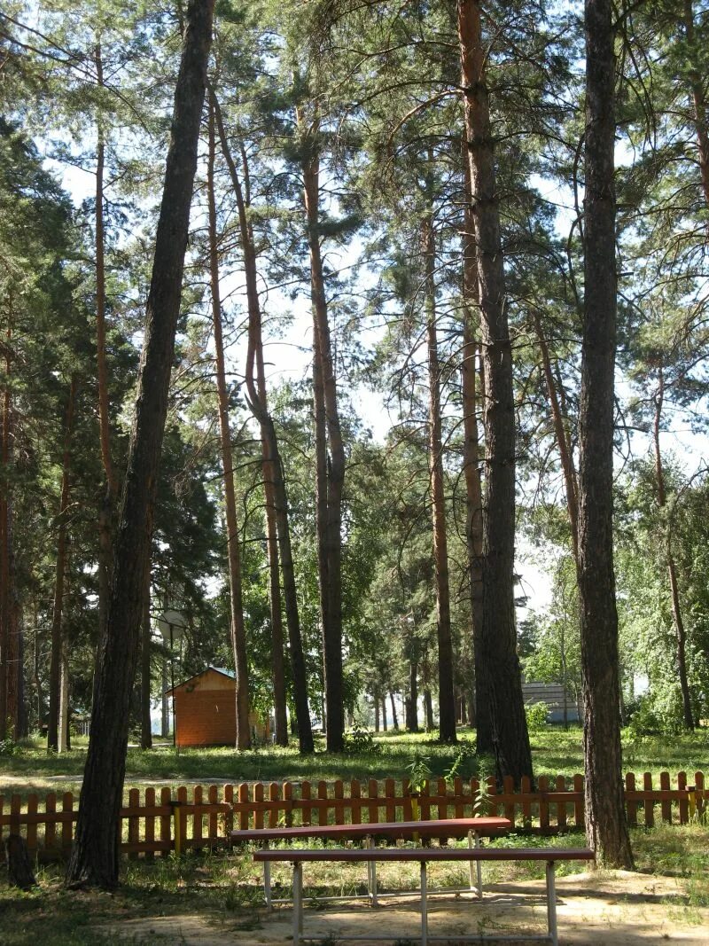 Муранка Самарская область. Село Муранка Шигонский район Самарской области. Турбаза волна Муранка. Река Муранка Самарская область. Муранка самарская область шигонский район