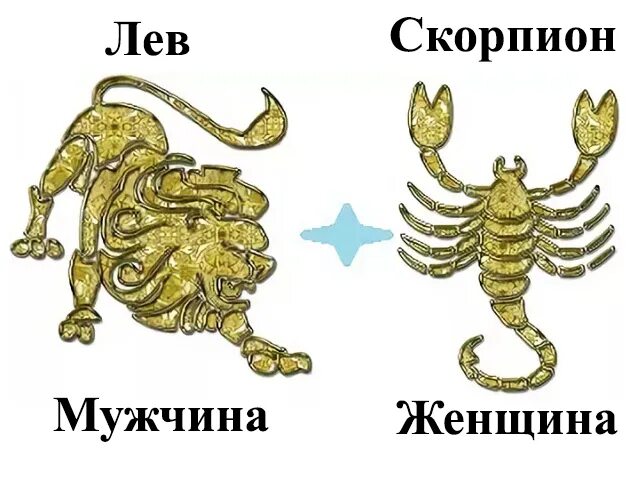 Мужчина скорпион друг. Знаки зодиака Скорпион совместимость со львом. Мужчина Лев и женщина Скорпион. Совместимость знаков зодиака Лев и Скорпион. Мужчина Скорпион и женщина Лев совместимость.