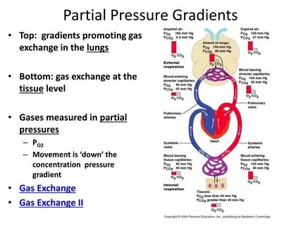 Gas pressure