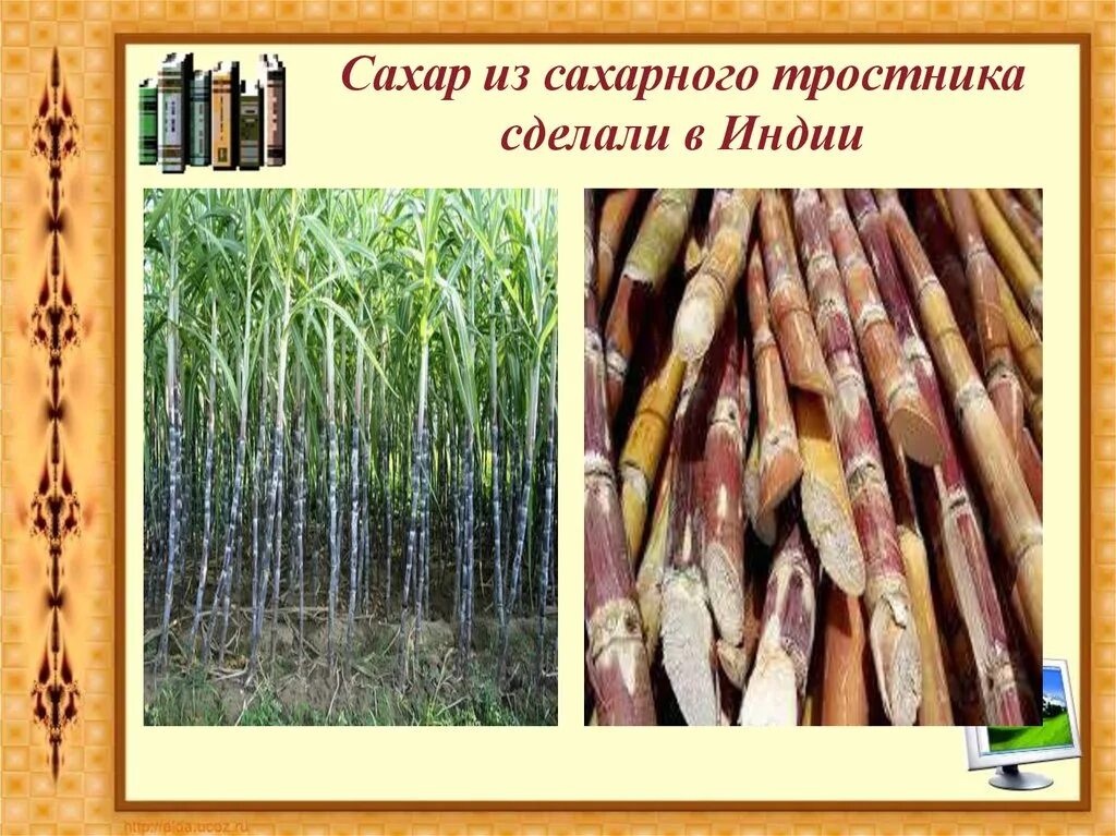 Из чего получают сахар. Сахарный тростник в древней Индии. Сахар из тростника в древней Индии. Сахар из сахарного тростника. Добыча сахара из тростника.