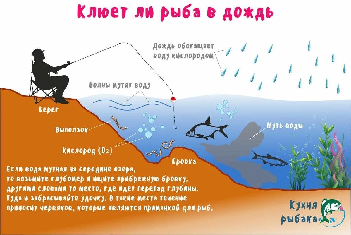 Как клева делаешь. Ветер для ловли рыбы. Рыболовное давление для поклевки рыбы. Влияние давления на клев. Какой ветер хороший для рыбалки.