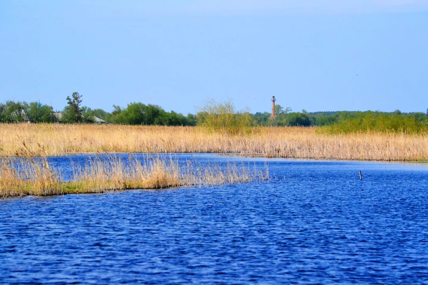 Водоемы в степи. Водоемы степи. Степные водоёмы. Пруд Степной. Водоёмы степи в России.