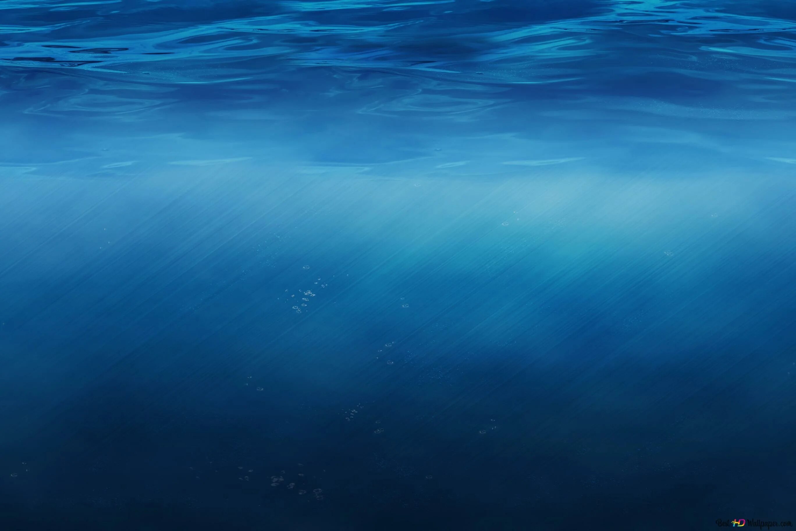Айфон 15 под водой. Под водой. Океан под водой. Дно океана. В толще воды.