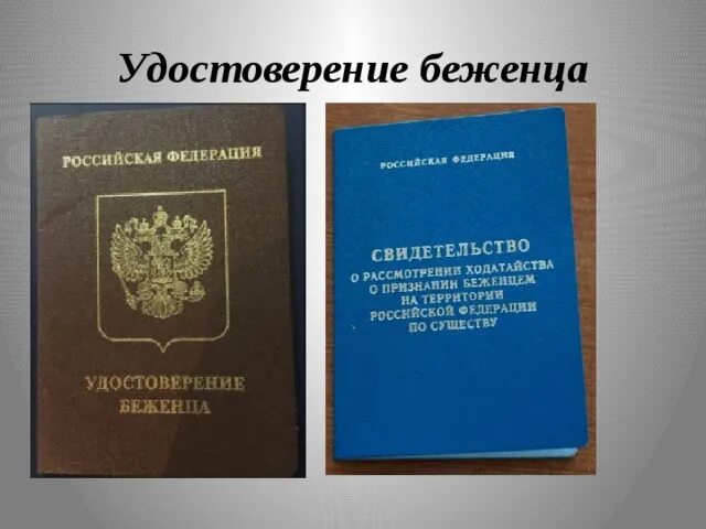 Документ беженца в России. Статус беженца документ