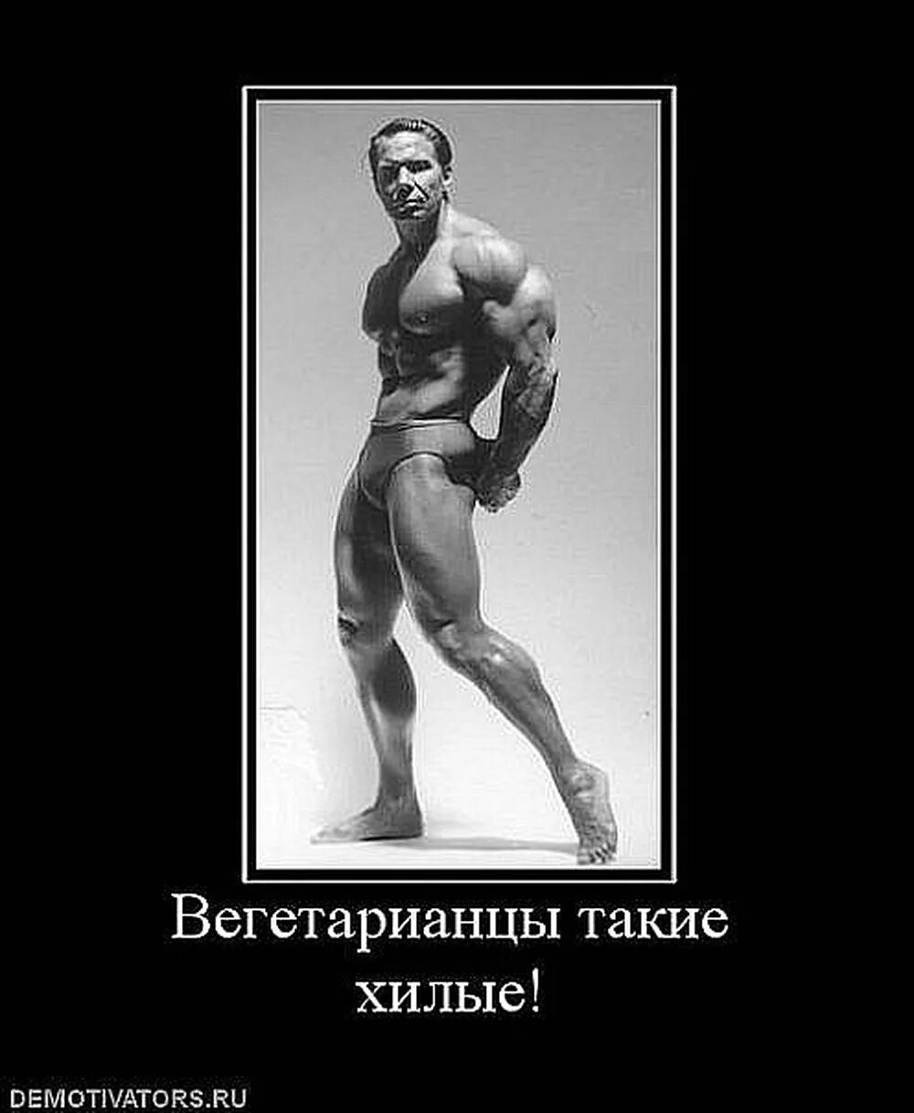 Что означает хилый. Что означает хилый. Что означает хилый. Человек показывает мышцы. Что означает хилый.