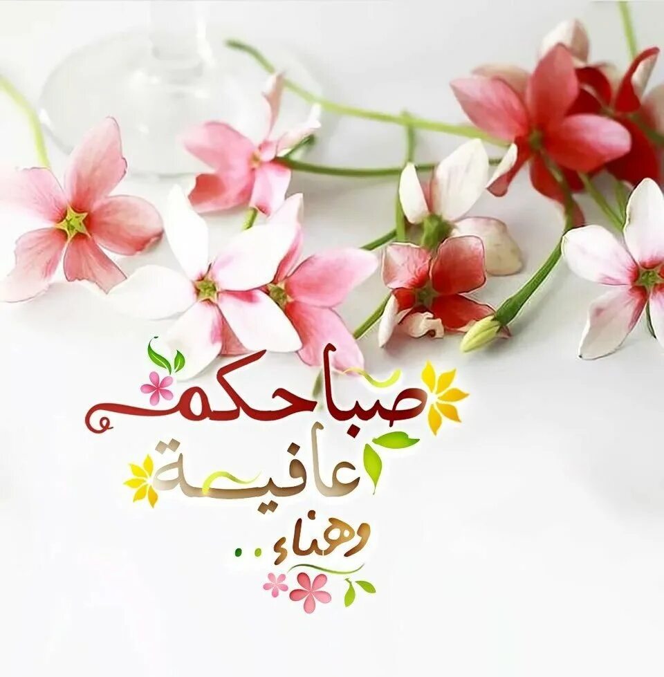 Пожелания с добрым утром на арабском языке. Цветы с пожеланием на арабском языке. Доброе утро открытка на арабском. Добрые пожелания на арабском.