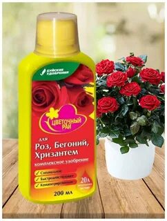 Удобрение для бегонии