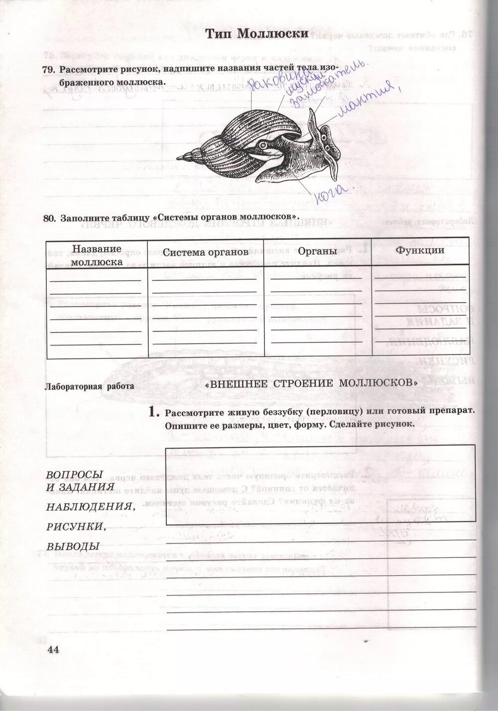 Биология 7 класс Захаров Сонин рабочая тетрадь моллюски ответы. Тетрадь по биологии 7 класс Сонин Захаров задания. Задание по биологии 7 класс Сонин.