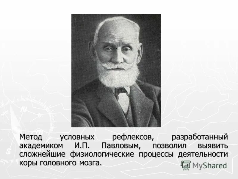 Как называется метод павлова позволивший. Метод условных рефлексов. Методики изучения условных рефлексов. Метод условных рефлексов Павлова. Павлов условный рефлекс.