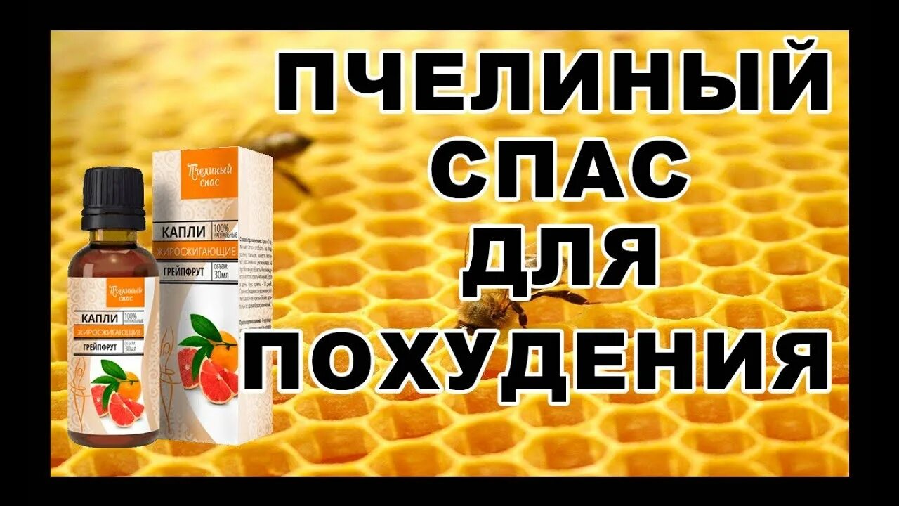 Хитозан пчелиный капли купить. Жиросжигающие капли «пчелиный спас». Пчелозан капли для похудения. Пчелиный спас капли для похудения. Таблетки для похудения пчелозан.