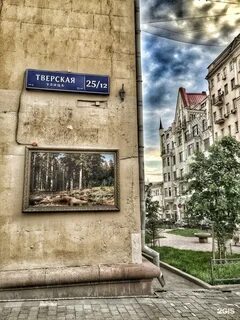 Москва ул тверская 25