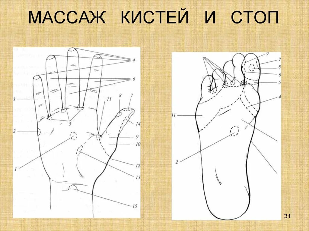 Массаж кистей. Растирание пальцев рук. Как делать массаж кисти. Самомассаж кистей и пальцев рук. Как делать массаж кисти.