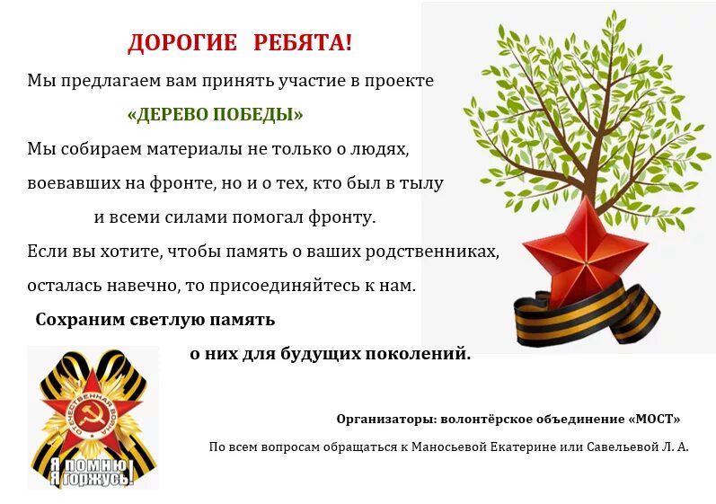 Сценарий акции памяти. Дерево Победы акция. Дерево Победы. Дерево памяти. Посади дерево акция к Дню Победы.