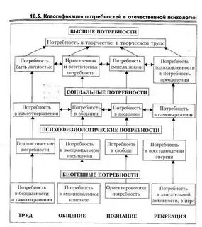 Потребности и мотивы личности виды потребностей