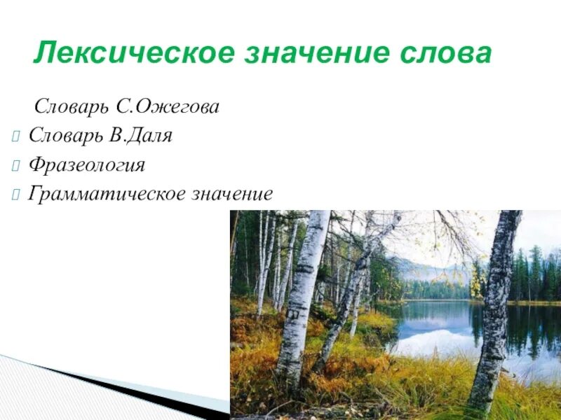 Береза лексическое значение. Пейзаж лексическое значение. Лексическое значение слова картина природы. Лексическое значение слова пейзаж. Значение слова березка