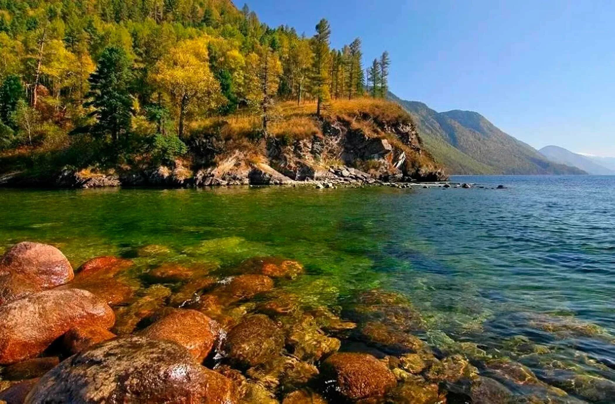 Озера алтайского края фото. Телецкое озеро. Телецкое озеро Алтай. Телецкое озеро заповедник. Озеро Телецкое Алтайский край.