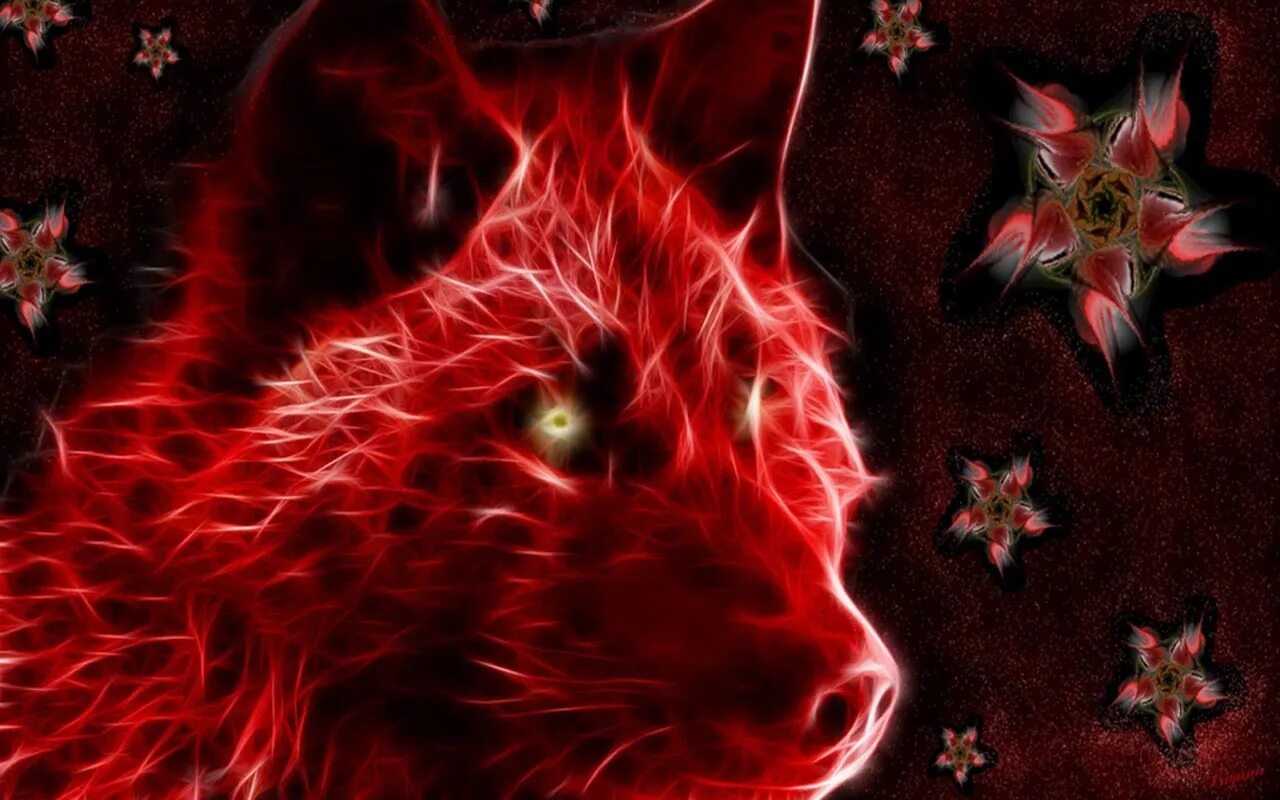 Ред вольф. Волк фрактал. Волк Фрактальная Графика. Рыжий волк обои. Черно красные обои на телефон волк.