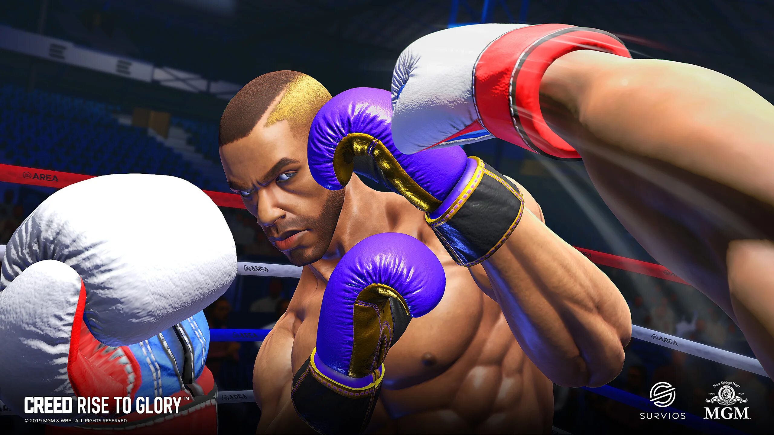 Creed Rise to Glory VR Oculus Quest 2. Oculus Quest 2 Creed. Бокс Крид VR. Oculus Quest 2 Box VR.