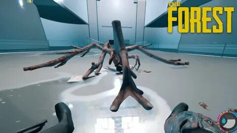 Форест босс