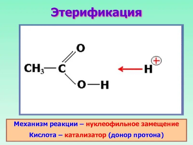 Реакцией этерификации называется взаимодействие спирта с. Механизм этерификации карбоновых кислот. Механизм этерификации спиртов. Реакция этерификации механизм реакции. Механизм протекания реакции этерификации.