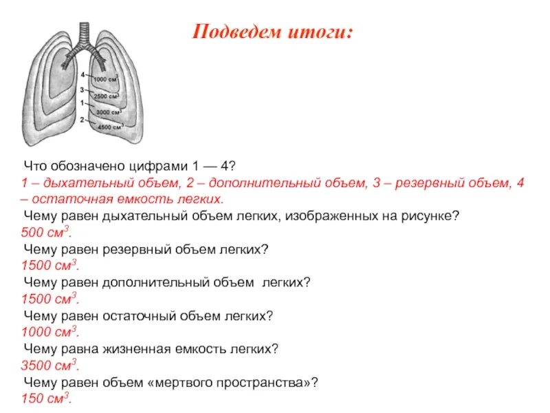 Что обозначено цифрами 1 4