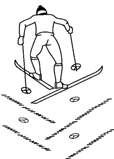 Подъём ёлочкой на лыжах техника. Лыжный ход подъем елочкой. Техника подъема на лыжах в гору елочкой. Техника подъема елочкой.