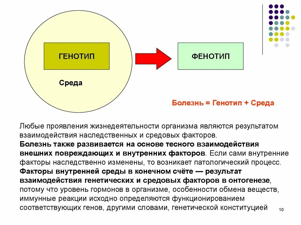 Влияние среды на генотип. Генотипических и фенотипических факторов.. Взаимодействие генотипа и среды. Фенотип формируется под влиянием генотипа и среды. Взаимосвязь генотипа и фенотипа.